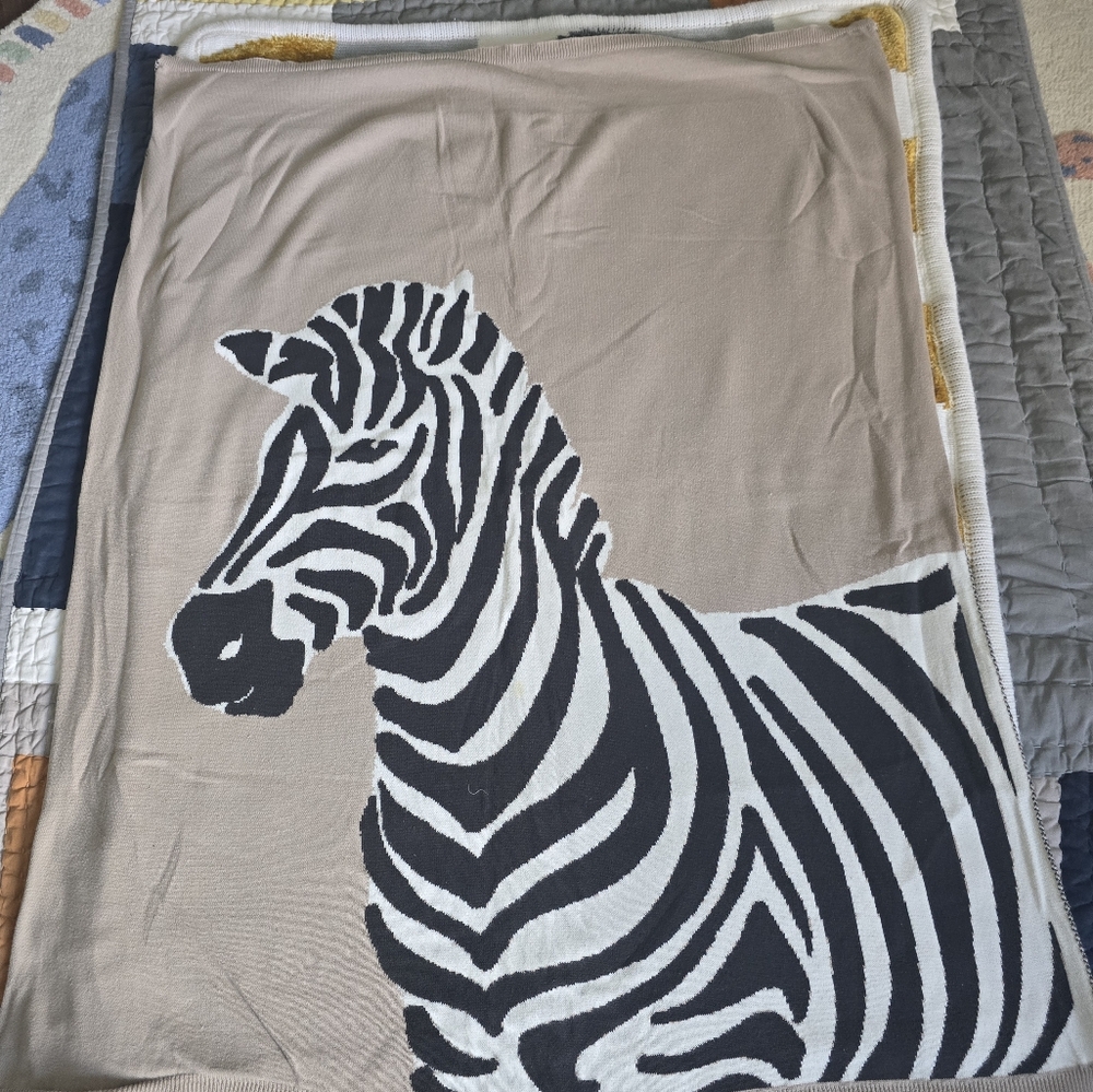 Pottery Barn Kids Baby Blanket